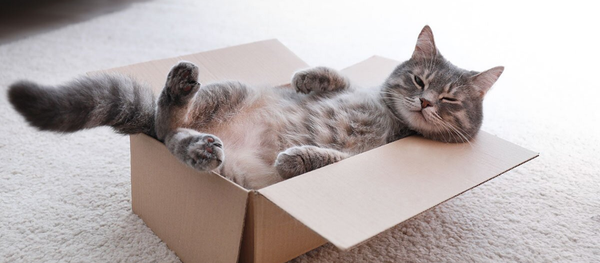 19 Hilarious Fundraising and Nonprofit Memes to Make You Laugh